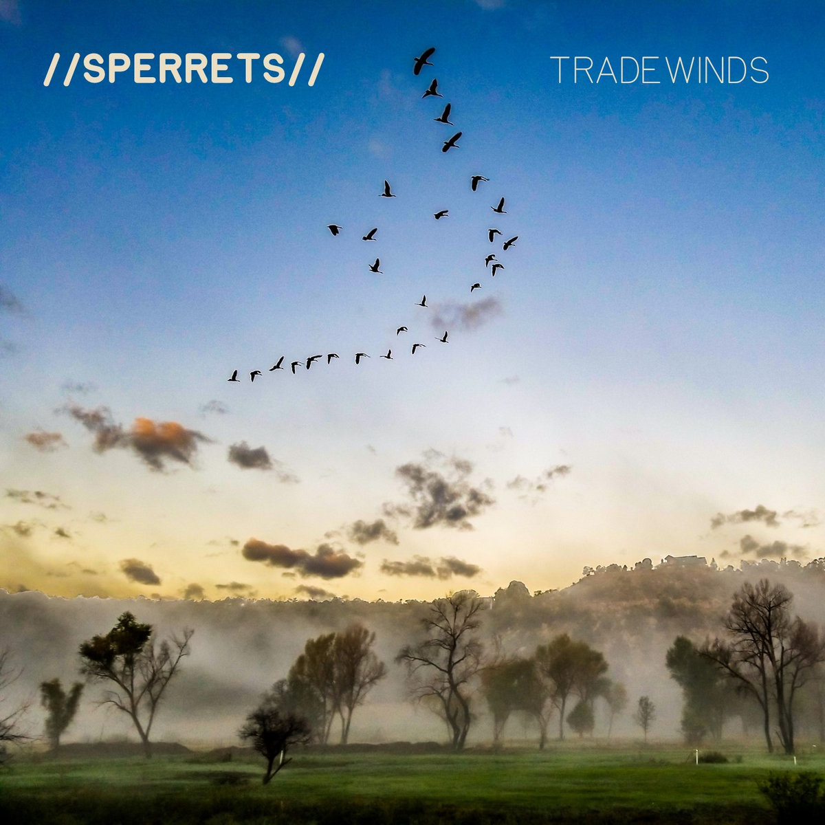 Tradewinds cover art