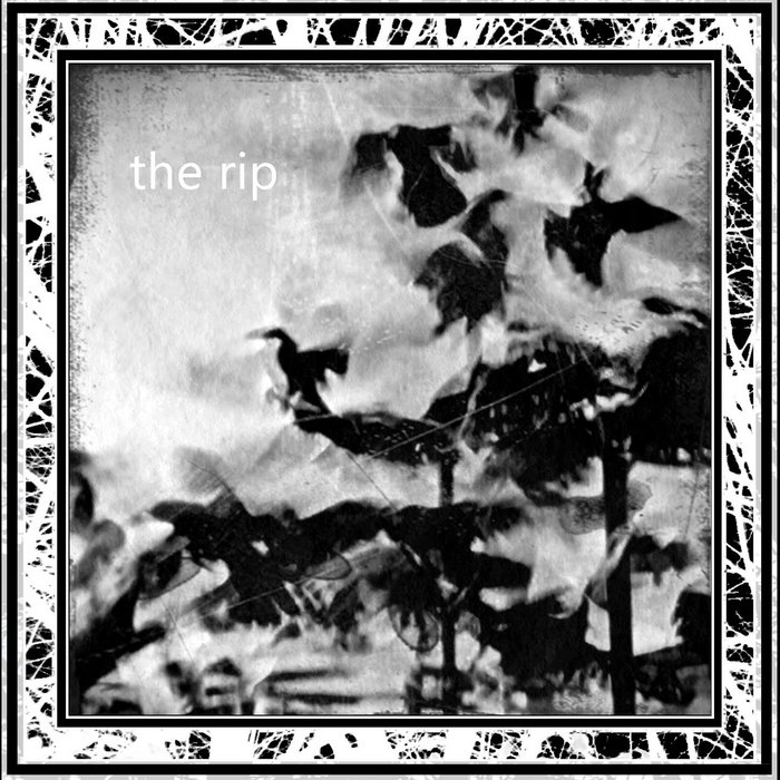 The Rip | The Rip | SwissDarkNights Label