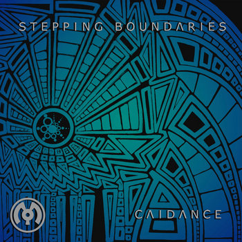 Cover art for Stepping Boundaries