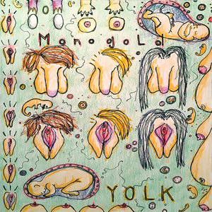 Yolk cover