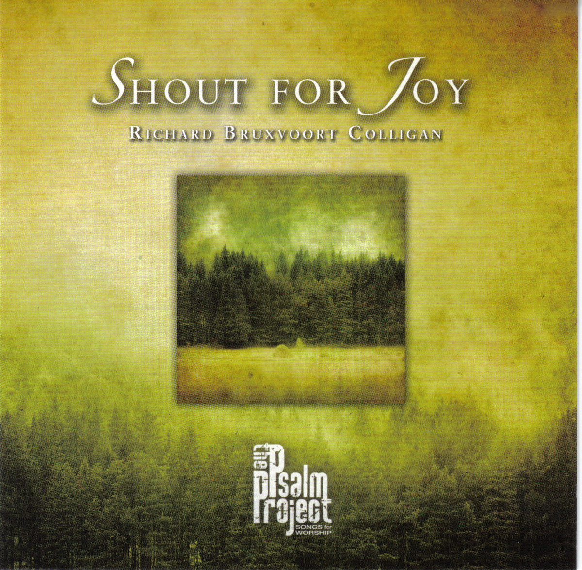 Shout For Joy  Richard Bruxvoort Colligan