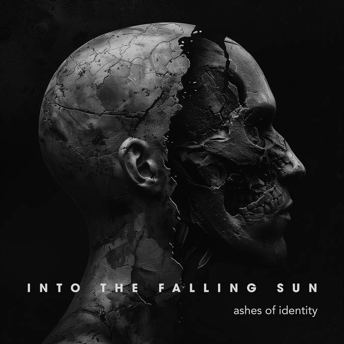 Into The Falling Sun - Ashes of Identity album artwork