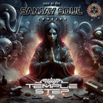 Sanjay Soul Remixes
