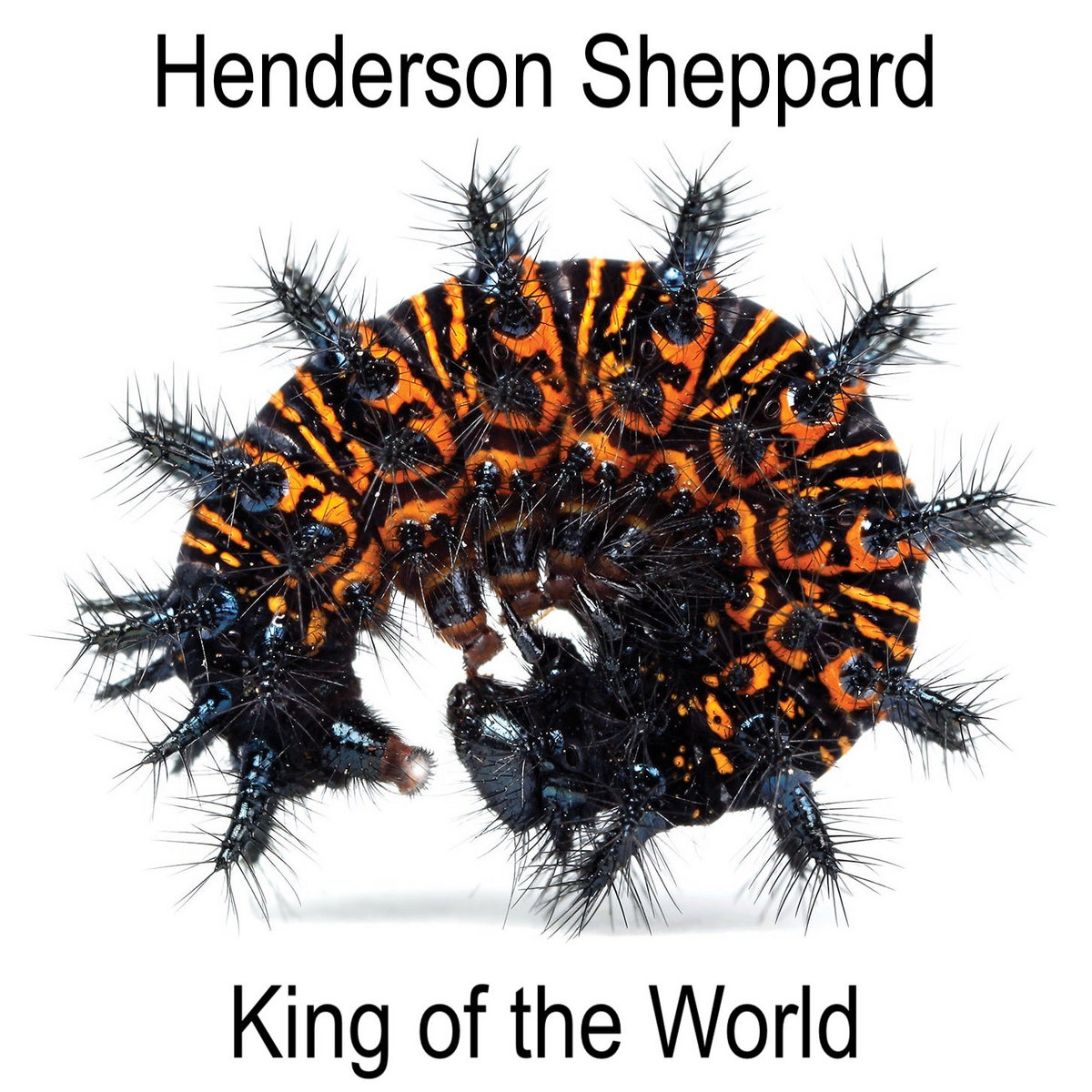 King of the World (BandCamp exclusive bonus track) Henderson Sheppard