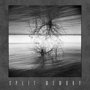 Split MemorySplit Memory cover