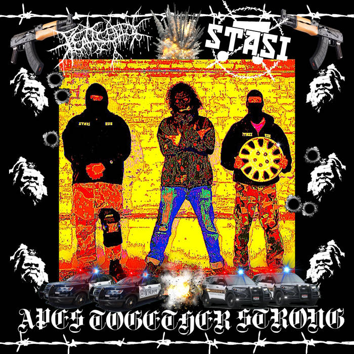 Music | Stasi