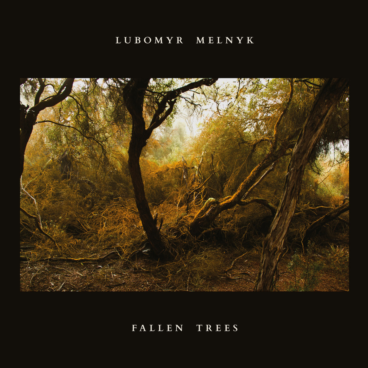 人気商品の入荷速報 入荷Now Fallen Trees Melnyk Lubomyr | その他