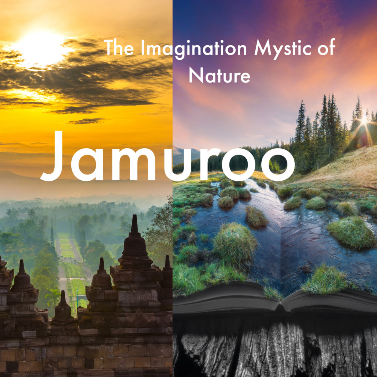 The Imagination Mystic of Nature