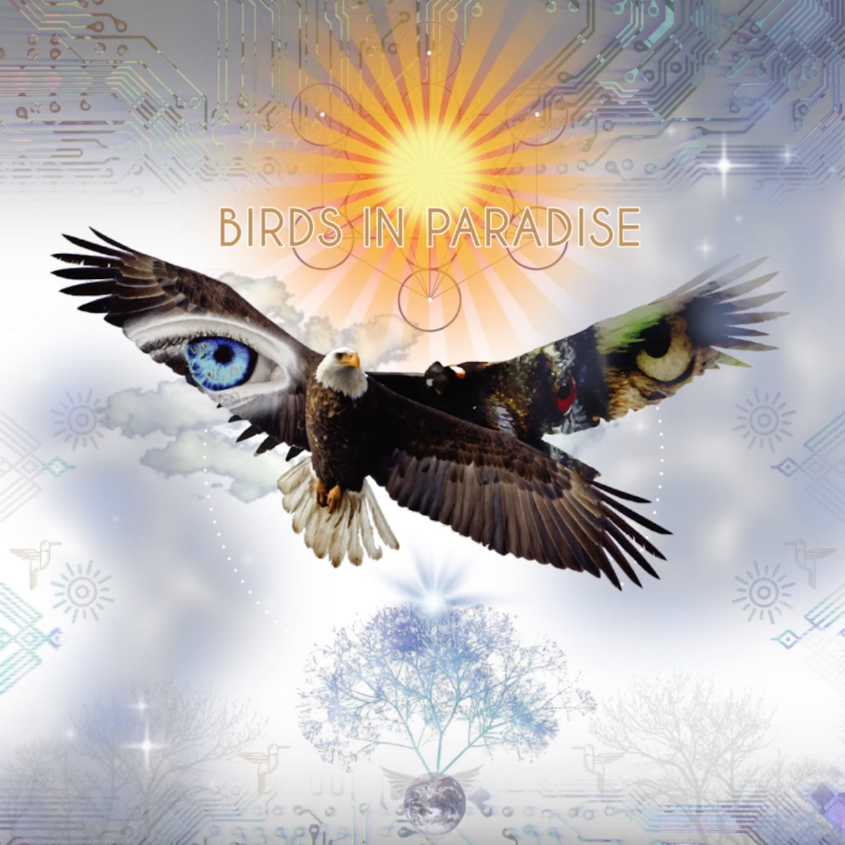 BIRDS IN PARADISE | Bird Tribe | I.AM.LIFE MUSIC