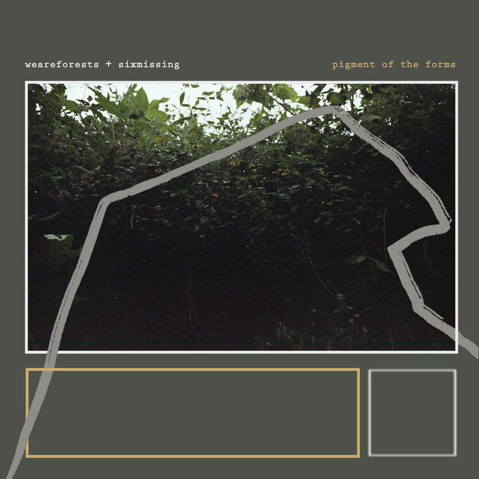 pigment of the forms | weareforests & Six Missing | Six Missing