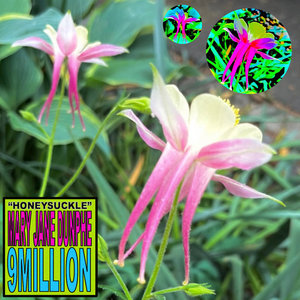 HoneysuckleMary Jane Dunphe & 9million cover