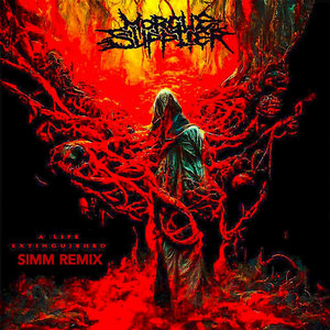 A Life Extinguished (SIMM REMIX) cover