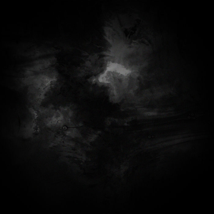 MISANTHROPE | 北沢強兵