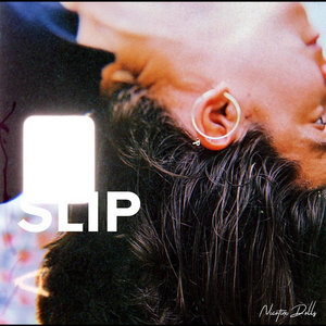 SLIP cover