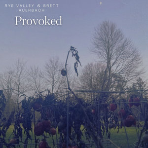 Provoked cover