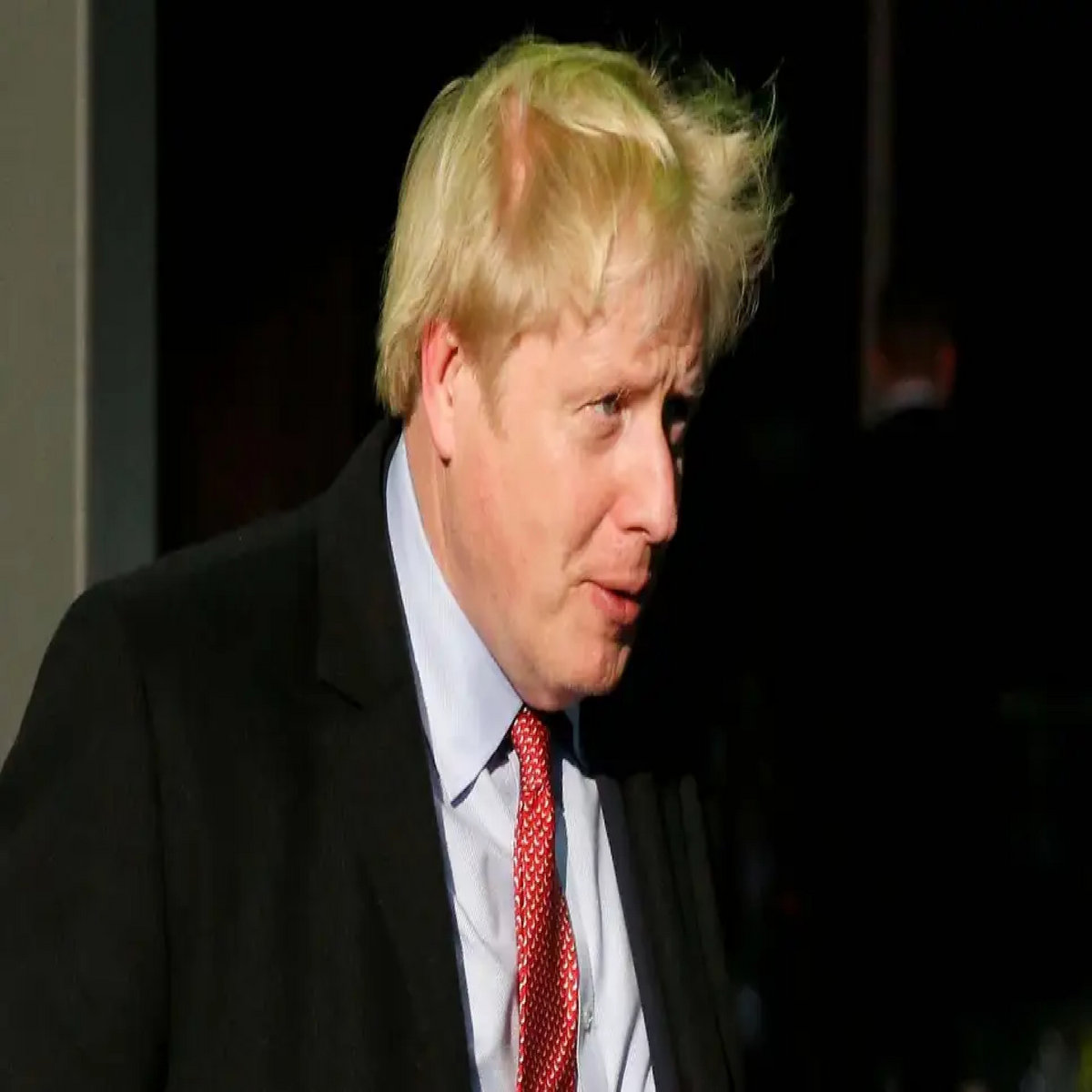 Bring Me The Severed Head Of Boris Johnson Rough Mix Dith Solais