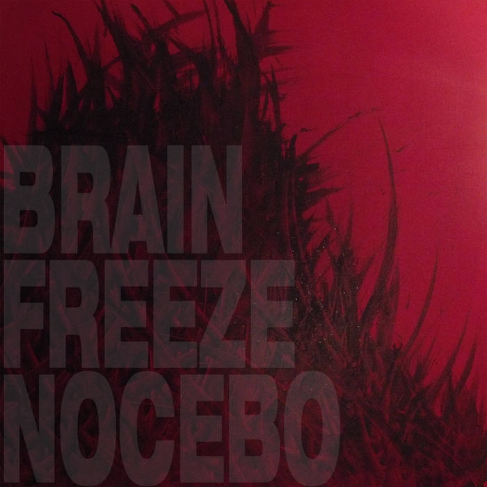 Music | Brainfreeze