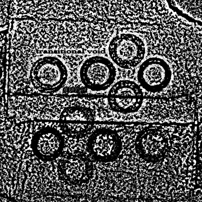 Transitional Void Inanition