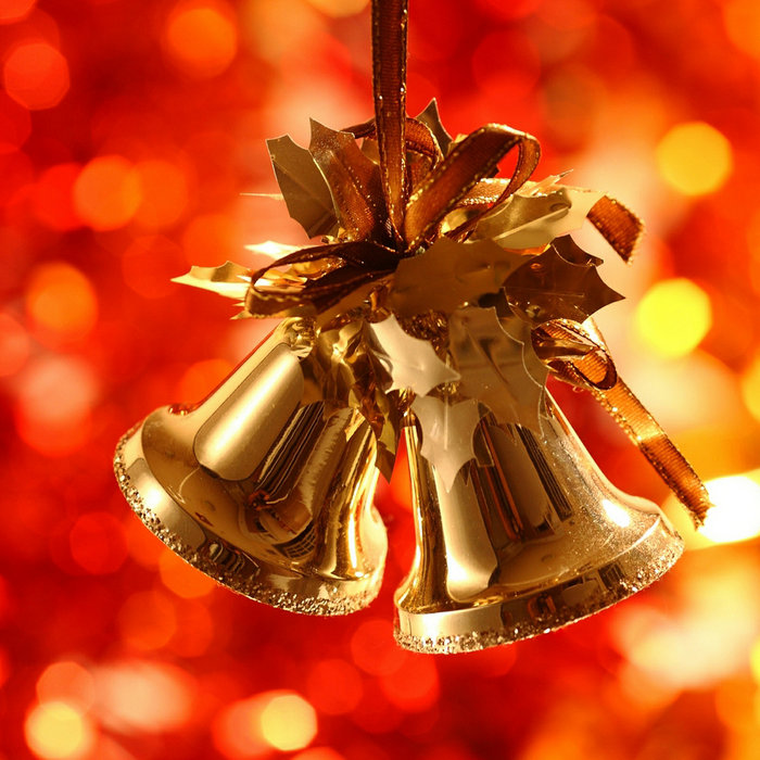 Ring Your Bells Rick Solis