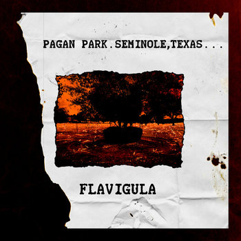 Pagan Park, Seminole, Texas cover art