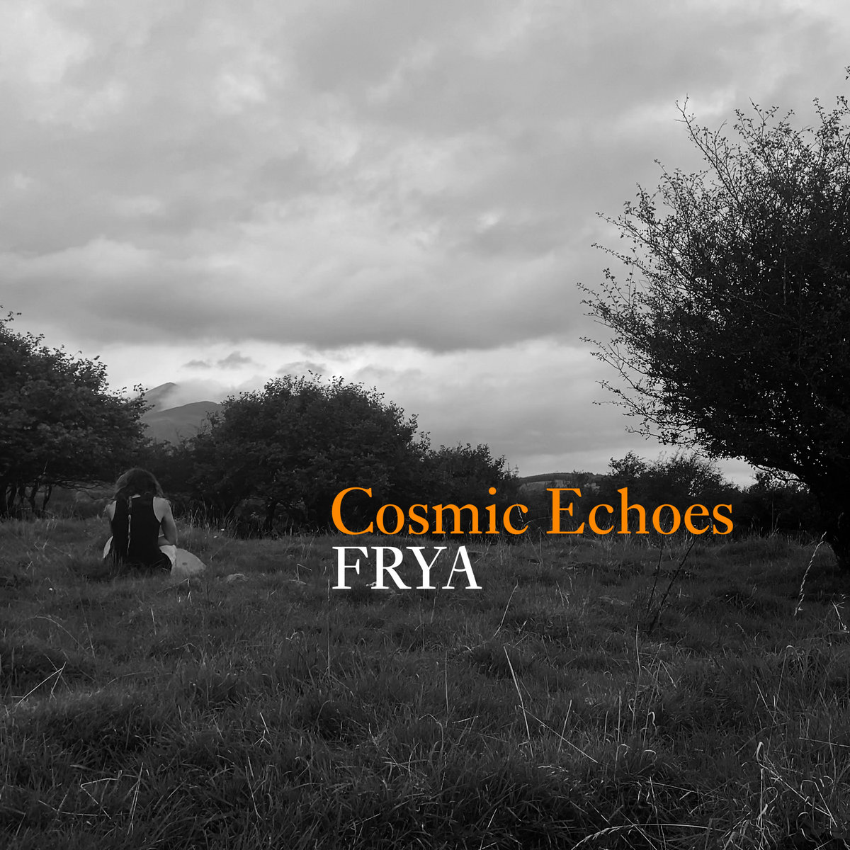Cosmic Echoes cover