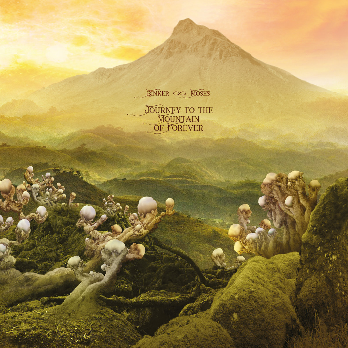 希少　IRONFIST: JOURNEY TO MOUNT SHEN $_12.JPG?set_id=880000500F