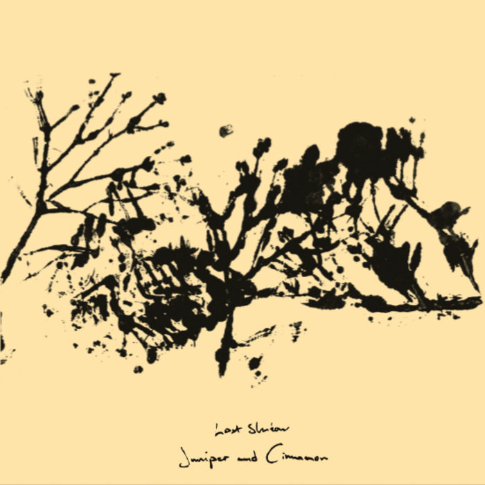 Lost shadows. Lost shadows
