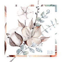 BUD cover art