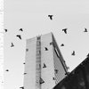 0118 (Instrumental)