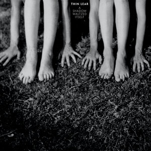 A Shadow Waltzed Itself cover