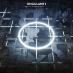 FLY & Mirror Maze - Singularity