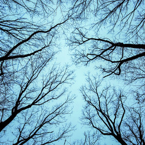 Dead Reckoning EP cover