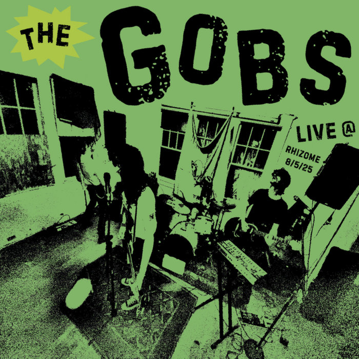 LIVE @ Rhizome 8/5/25 | The Gobs | Punk Valley Records