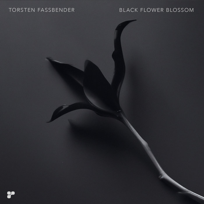 Black Flower Blossom | Torsten Fassbender | Platipus Music
