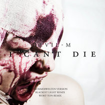 I Can't Die cover art