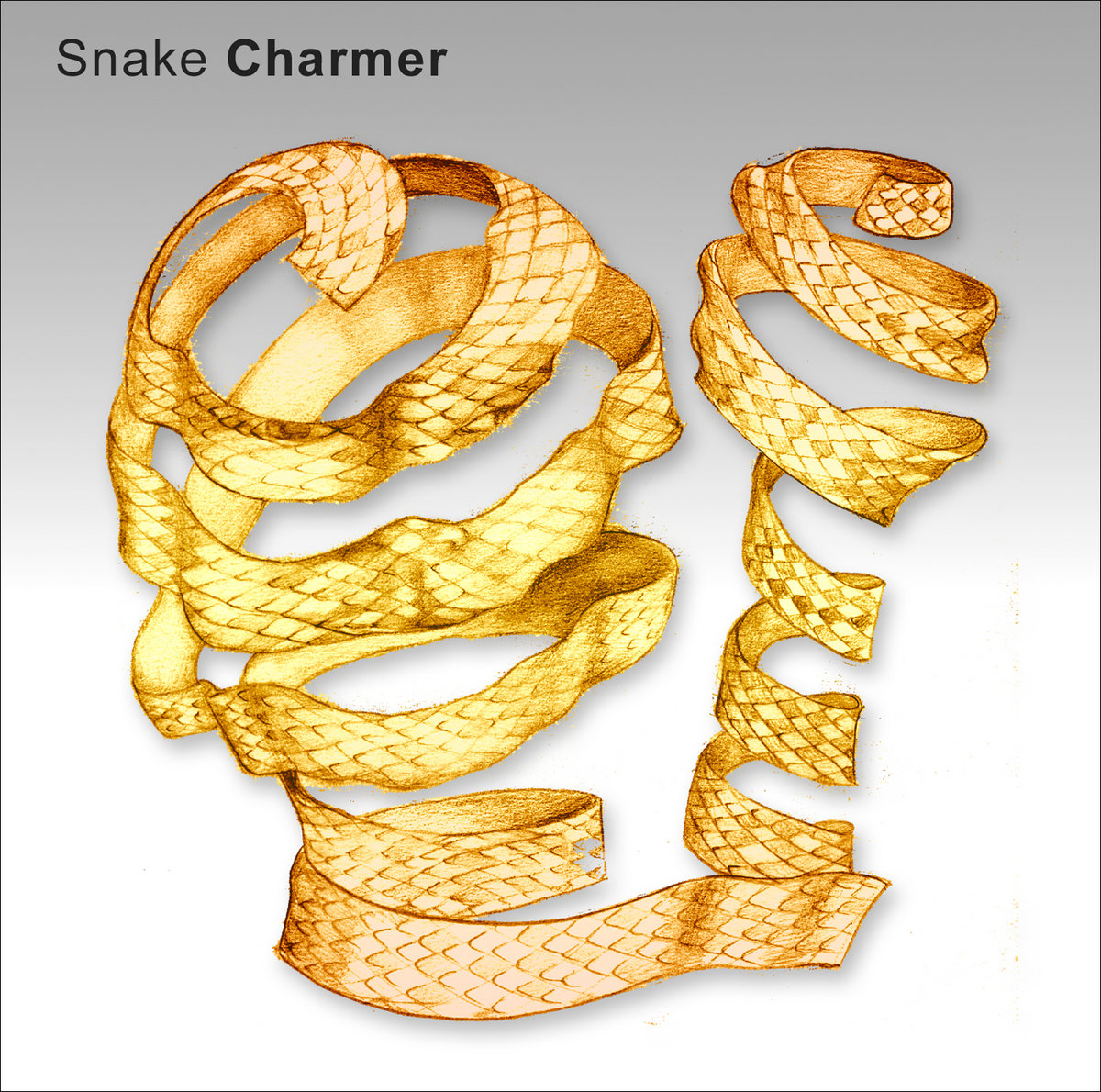 Snake charmer the way out
