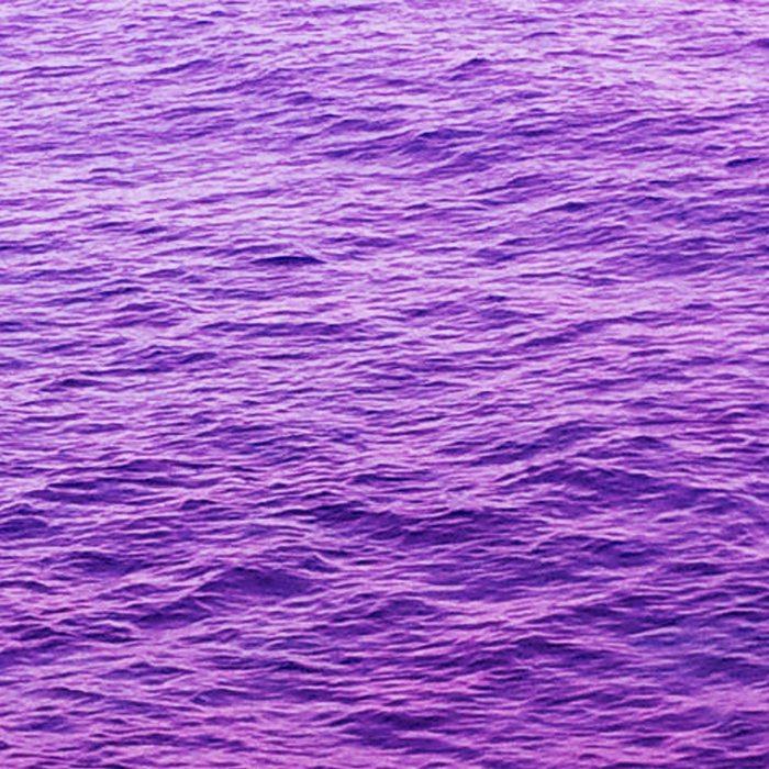 a3894789381_5.jpg