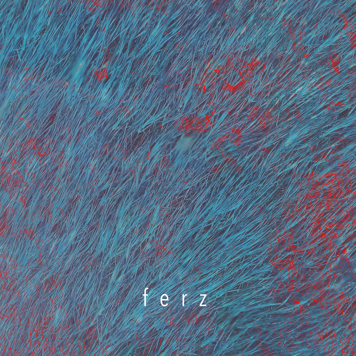 Ferz | intafaze