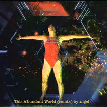 This Abundant World (remix) by nigel cover art
