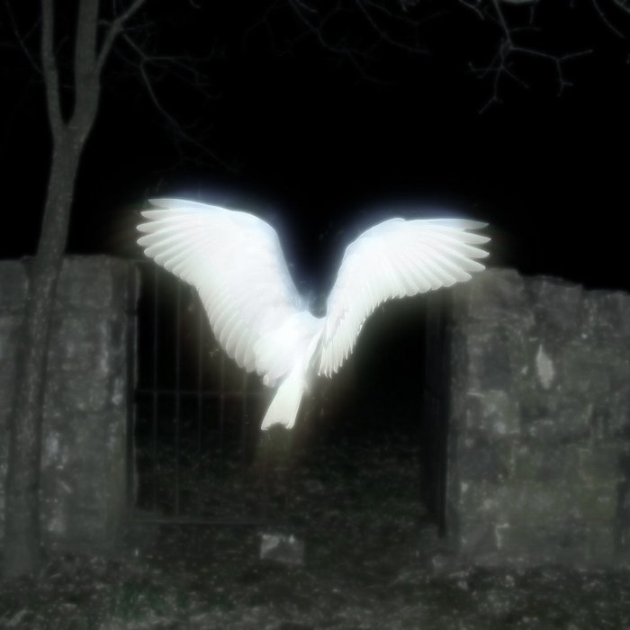 Life In Heaven | 7777 の天使 | Soul Feeder