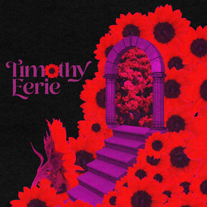 Timothy Eerie — YOUR OWN TRIP // STARING AT THE SUN