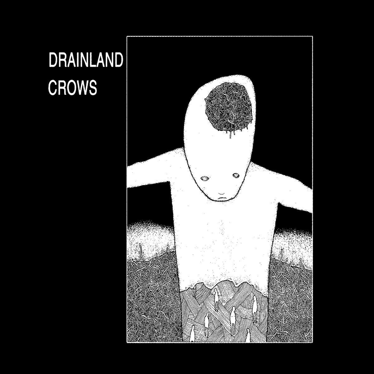 split 7" w/Crows cover