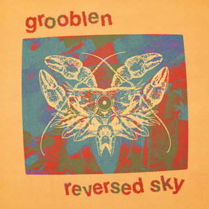 Reversed Sky cover