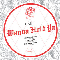 DAN T - Wanna Hold Ya [ST125] cover art