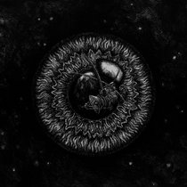 LIVE SESSION cover art