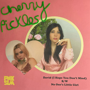 Cherry Pickles — David (I Hope You Don't Mind) [single]