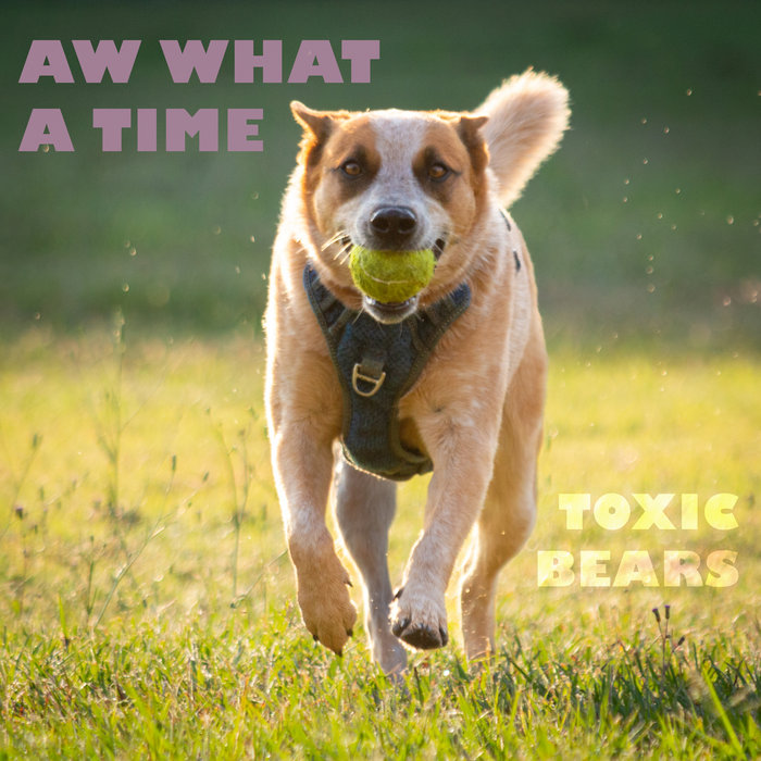 Aw What a Time | Toxic Bears