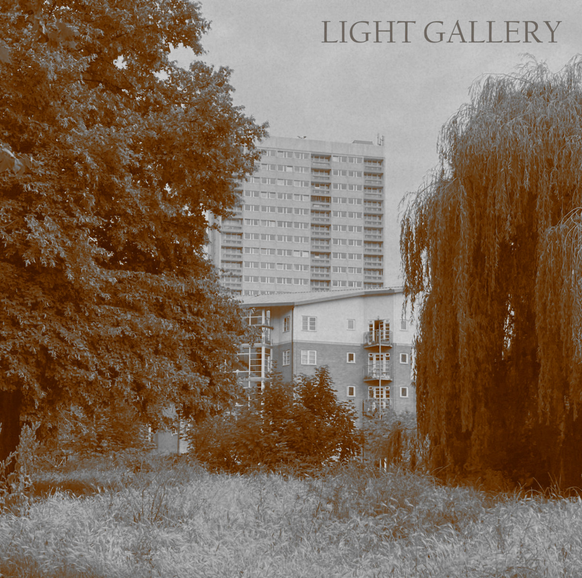 Light Gallery cover