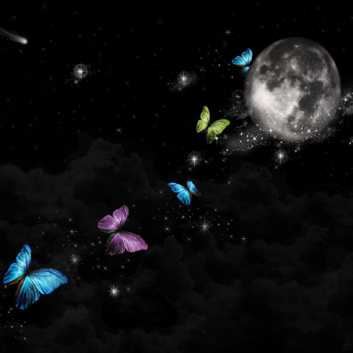 Резултат слика за magic night