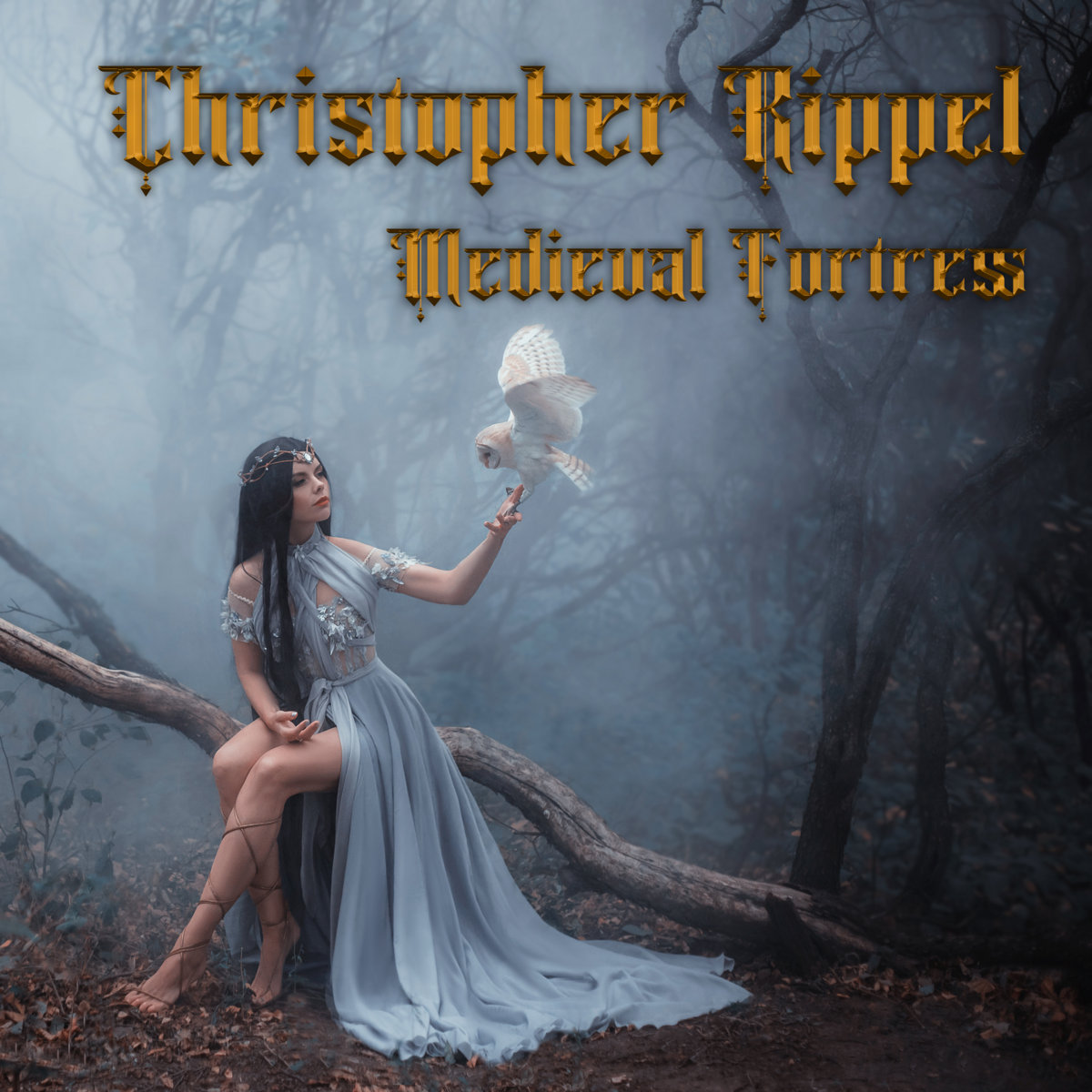 Medieval Fortress | Christopher Rippel